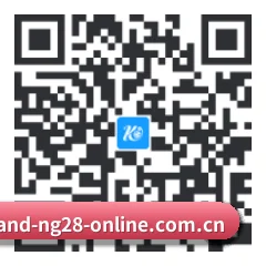 iOS 苹果版 二维码 | NG28